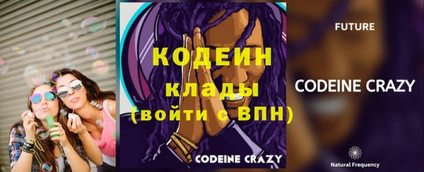 молекула духа Дмитровск